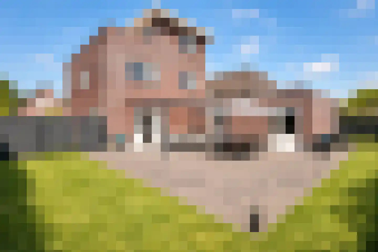 Marquette 7 Lelystad thumbnail 6
