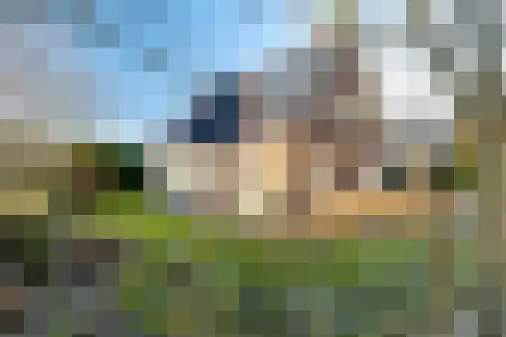 Marquette 85 Lelystad thumbnail 33