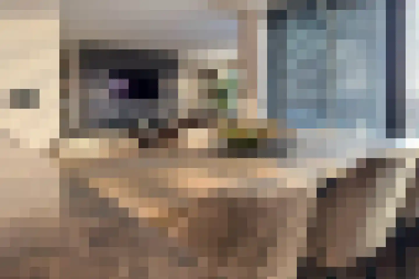 Marquettelaan 6 E Heemskerk thumbnail 16