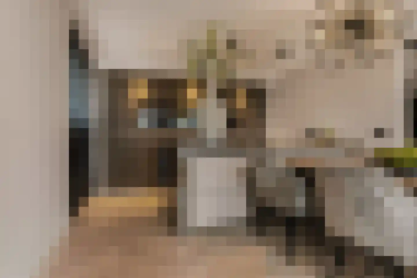 Marquettelaan 6 E Heemskerk thumbnail 17