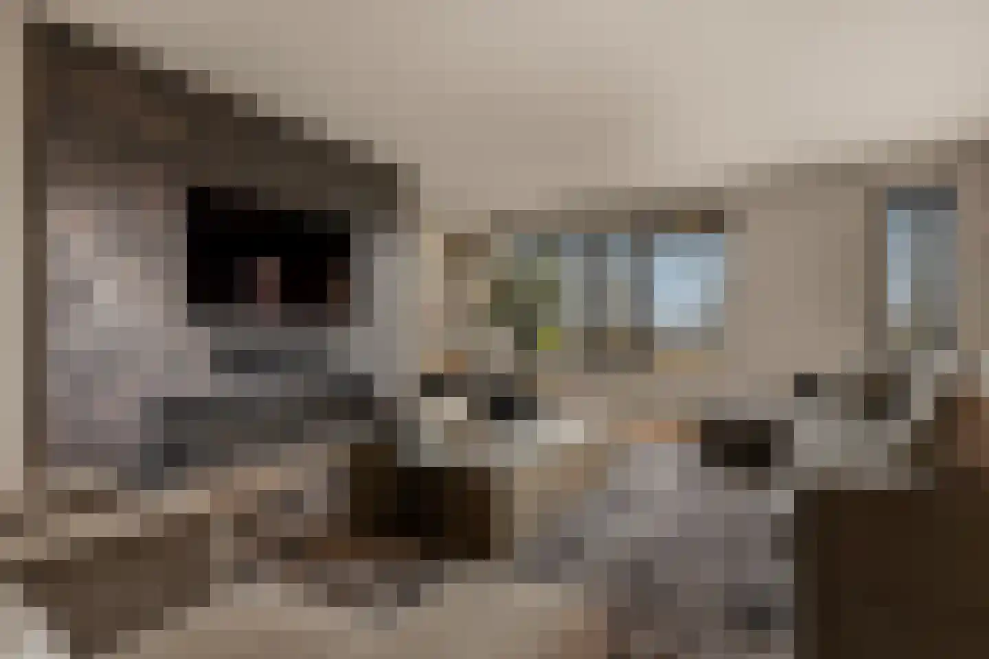 Marquettelaan 6 E Heemskerk thumbnail 7