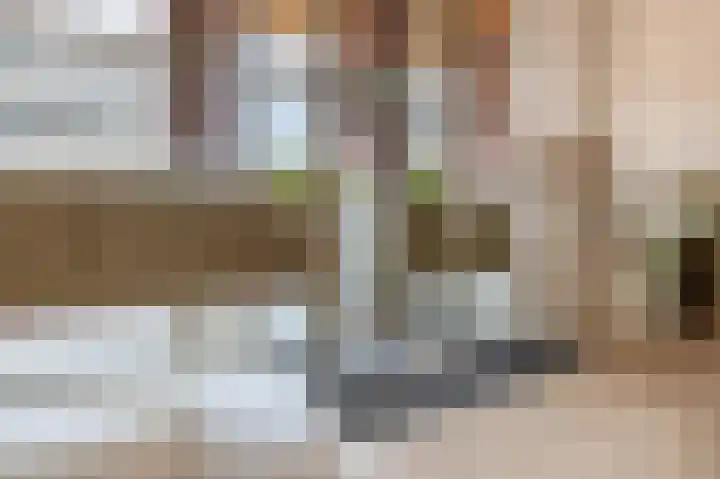 Marrewijklaan 58 Spijkenisse thumbnail 10