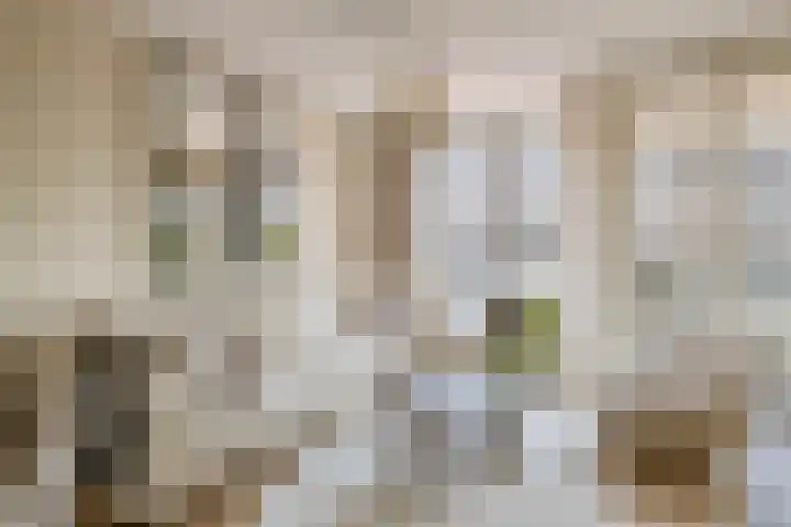 Marrewijklaan 58 Spijkenisse thumbnail 16