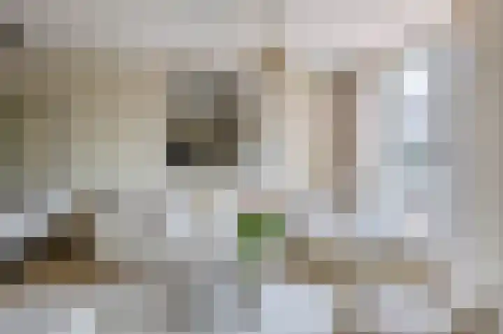 Marrewijklaan 58 Spijkenisse thumbnail 17