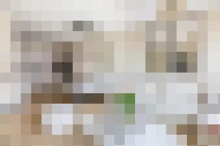 Marrewijklaan 58 Spijkenisse thumbnail 18