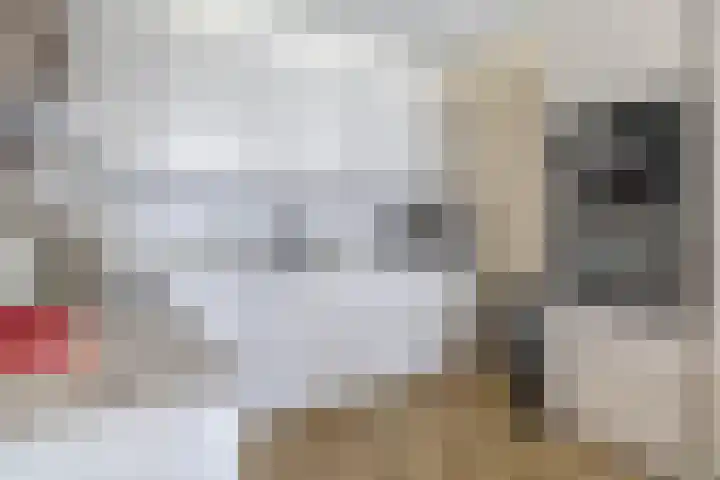 Marrewijklaan 58 Spijkenisse thumbnail 22