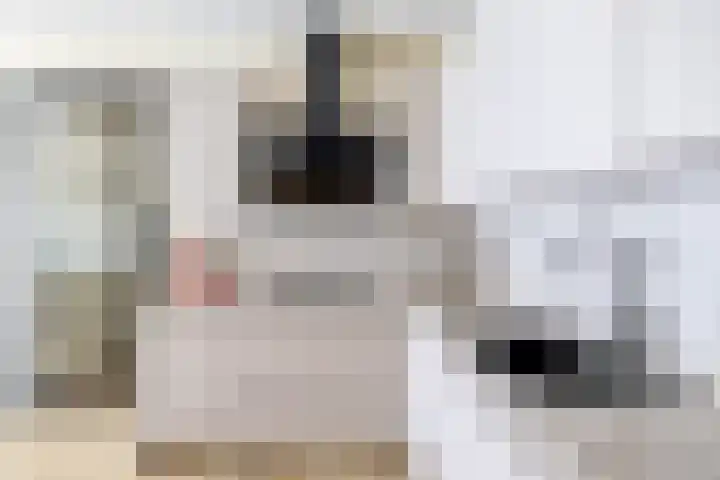 Marrewijklaan 58 Spijkenisse thumbnail 24