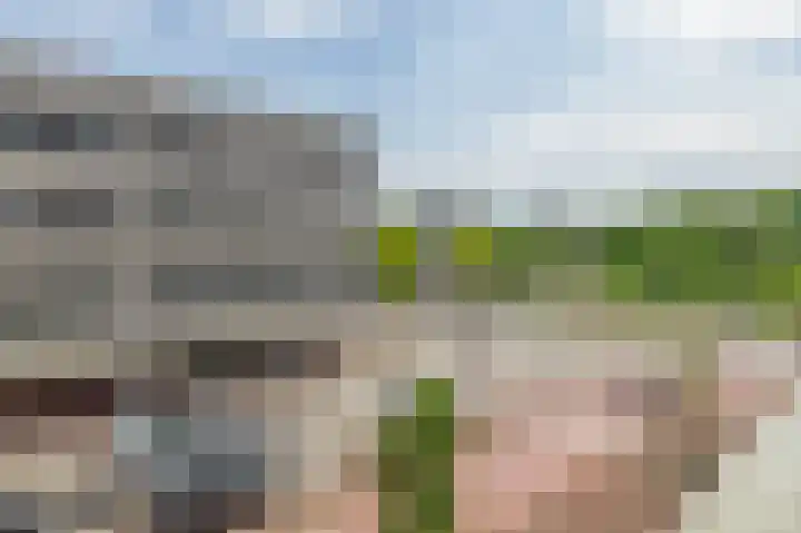 Marrewijklaan 58 Spijkenisse thumbnail 33