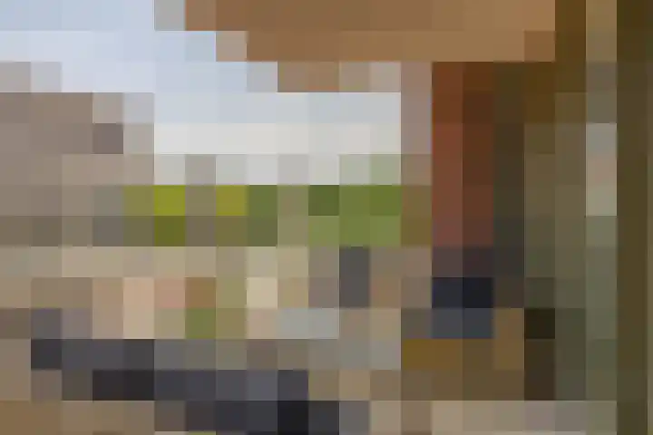 Marrewijklaan 58 Spijkenisse thumbnail 4