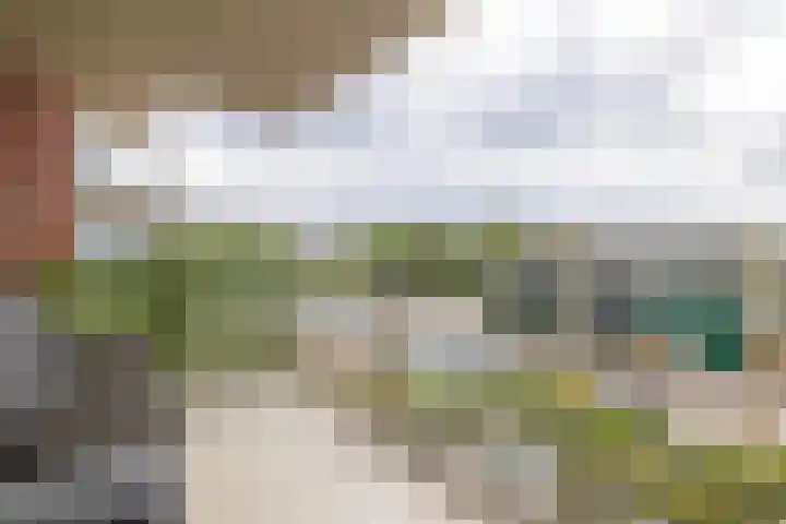 Marrewijklaan 68 Spijkenisse thumbnail 20
