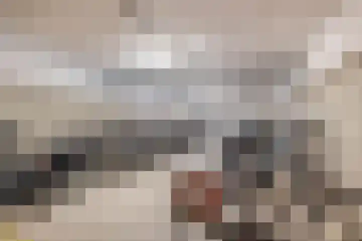 Marrewijklaan 68 Spijkenisse thumbnail 32
