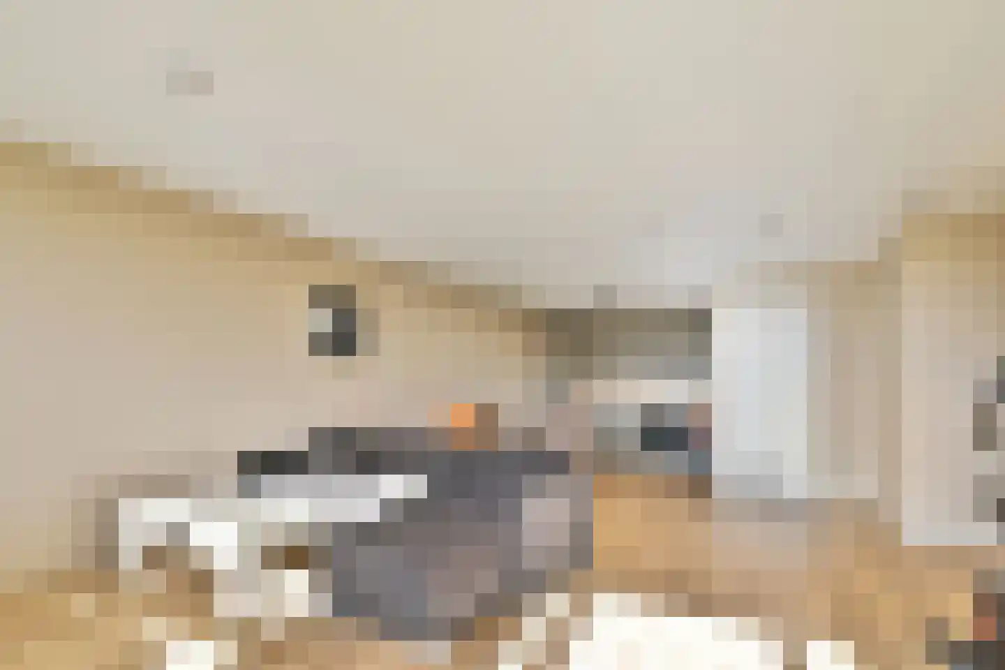 Marrewijklaan 72 Spijkenisse thumbnail 14