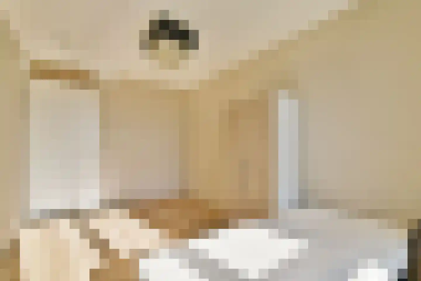 Marrewijklaan 72 Spijkenisse thumbnail 19