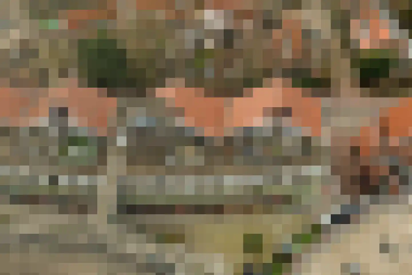 Marrewijklaan 87 Spijkenisse thumbnail 23