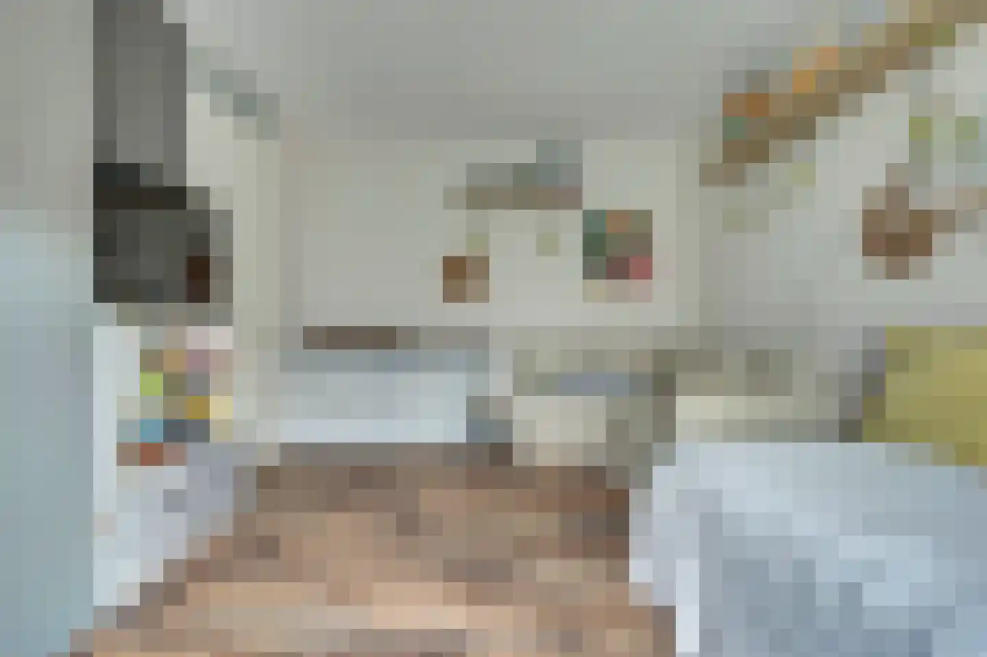 Marrewijklaan 87 Spijkenisse thumbnail 7