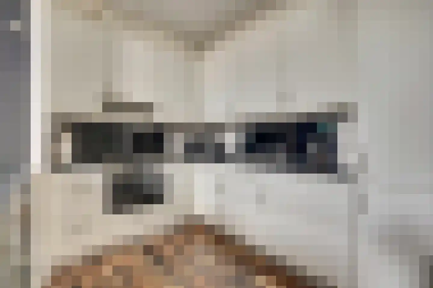 Marrewijklaan 87 Spijkenisse thumbnail 7