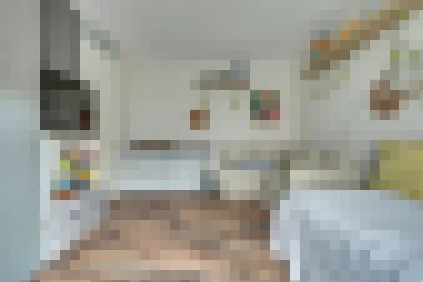 Marrewijklaan 87 Spijkenisse thumbnail 8