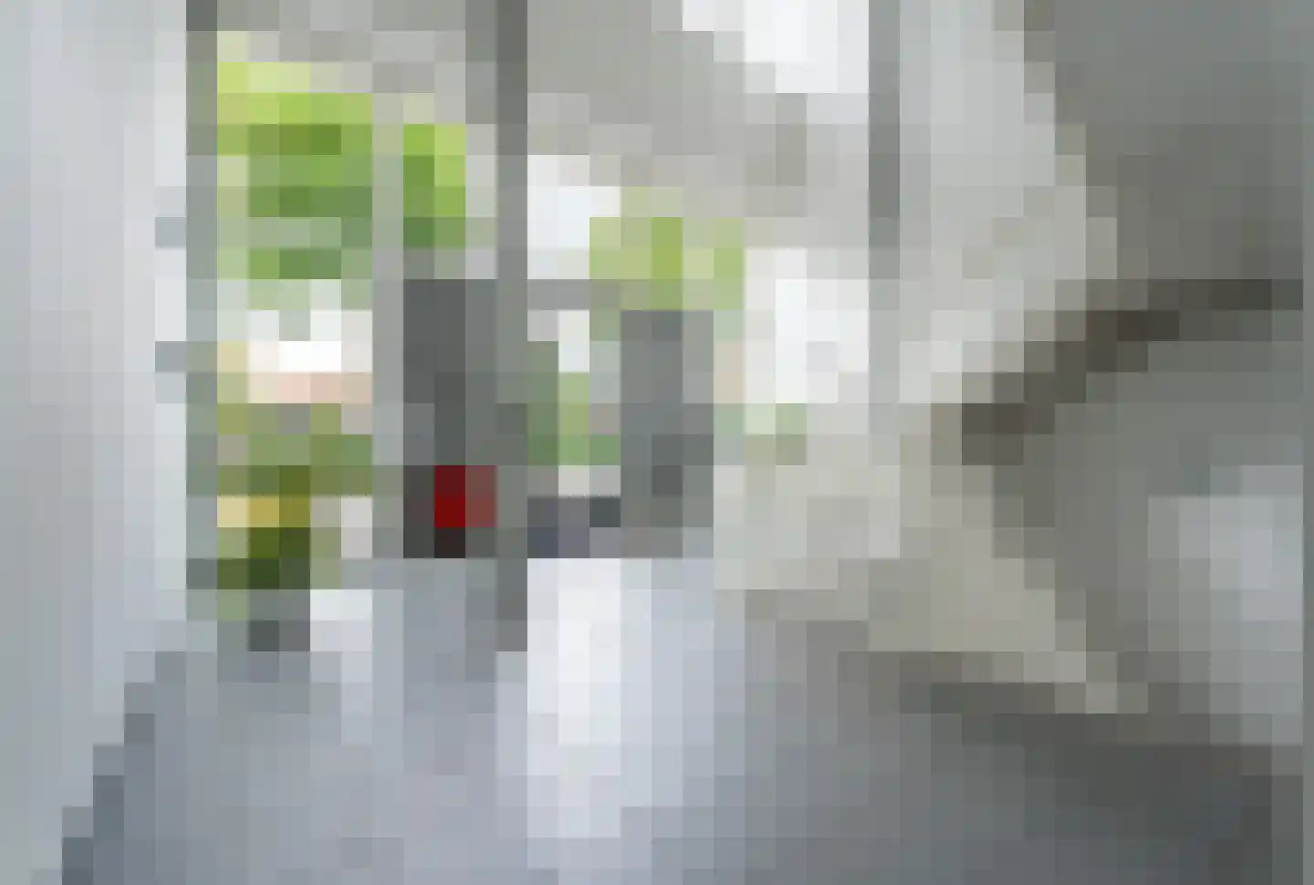 Marrewijklaan 93 Spijkenisse thumbnail 10