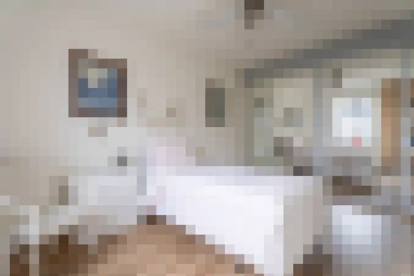 Marrewijklaan 93 Spijkenisse thumbnail 24