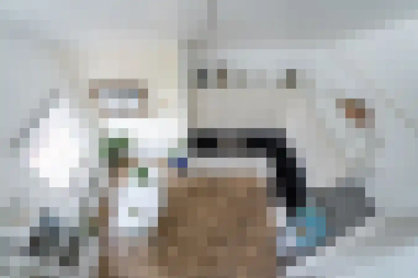Marrewijklaan 93 Spijkenisse thumbnail 31