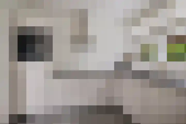 Marrumerweg 27 Ferwert thumbnail 10