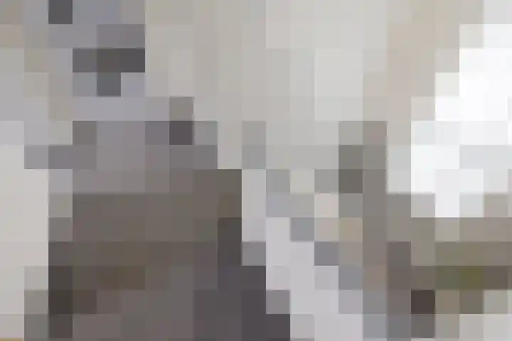 Marrumerweg 27 Ferwert thumbnail 20