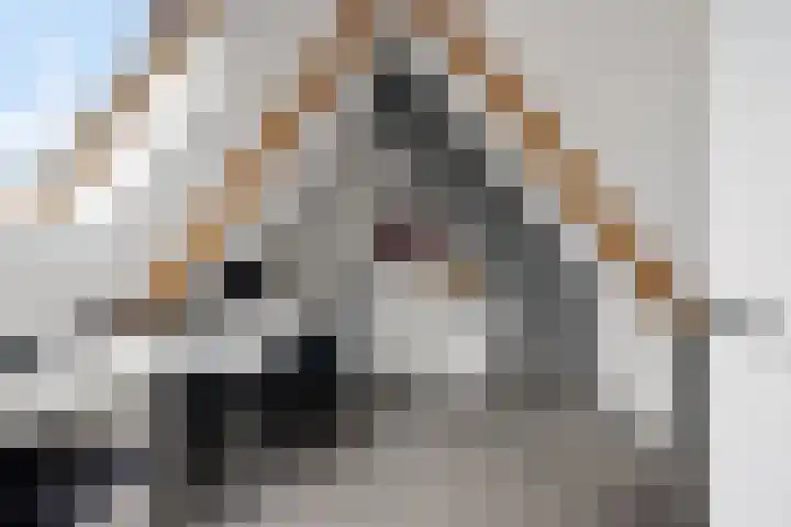 Marrumerweg 27 Ferwert thumbnail 30