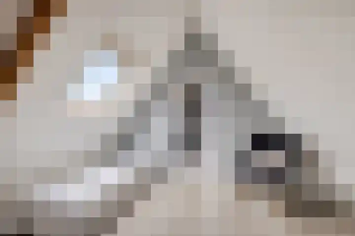 Marrumerweg 27 Ferwert thumbnail 32