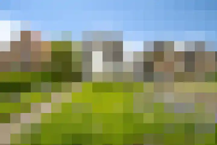 Marrumerweg 27 Ferwert thumbnail 43