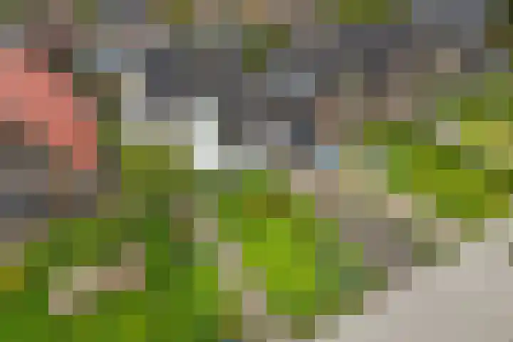 Marrumerweg 27 Ferwert thumbnail 50