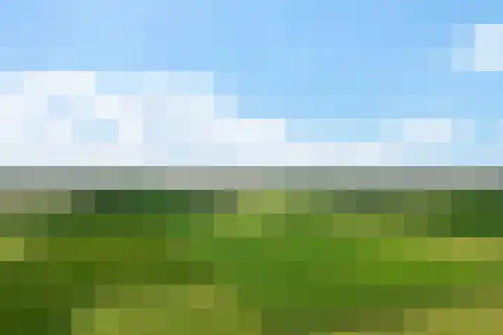 Marrumerweg 27 Ferwert thumbnail 54