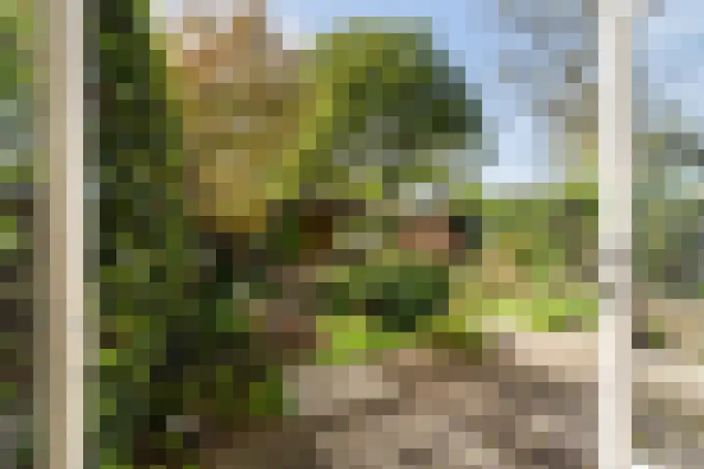 Mars 1 IJsselstein thumbnail 43