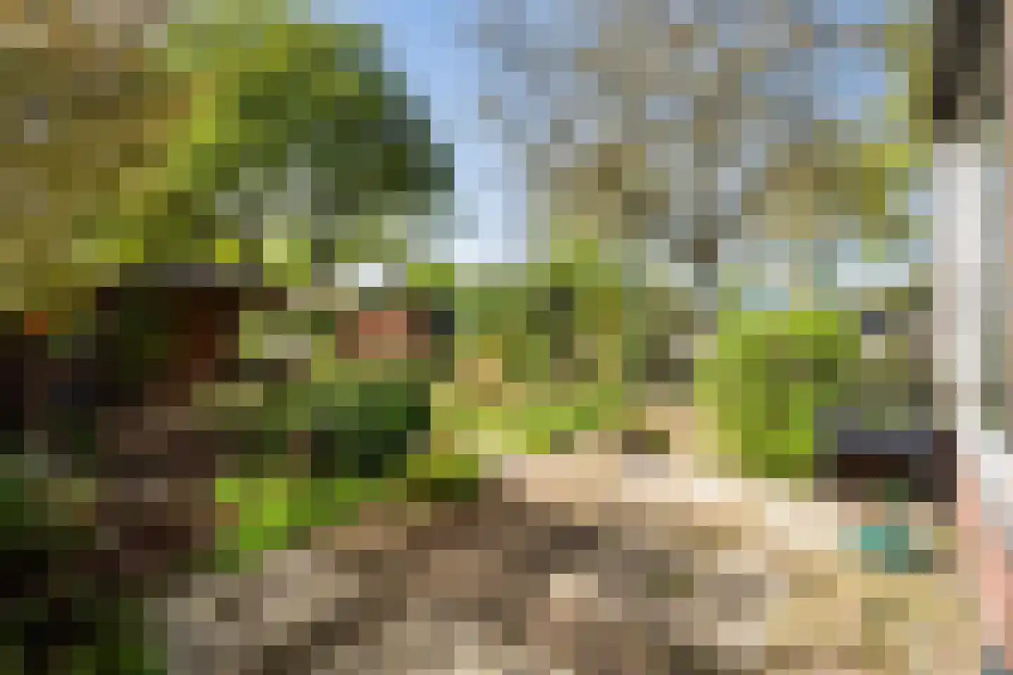 Mars 1 IJsselstein thumbnail 44