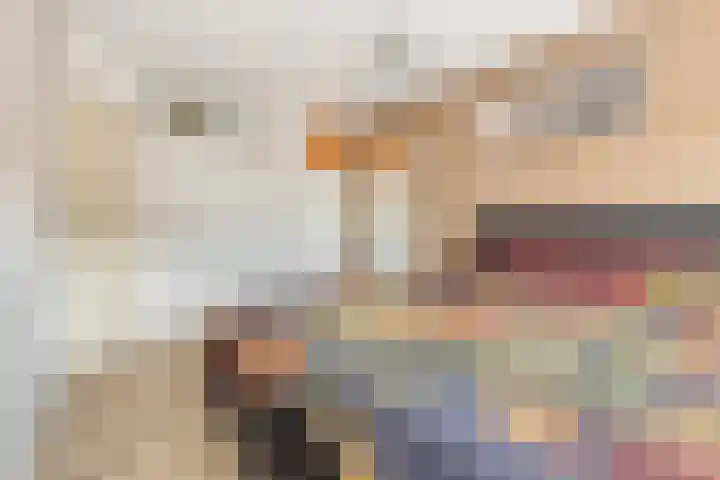 Mars 78 Oostburg thumbnail 17