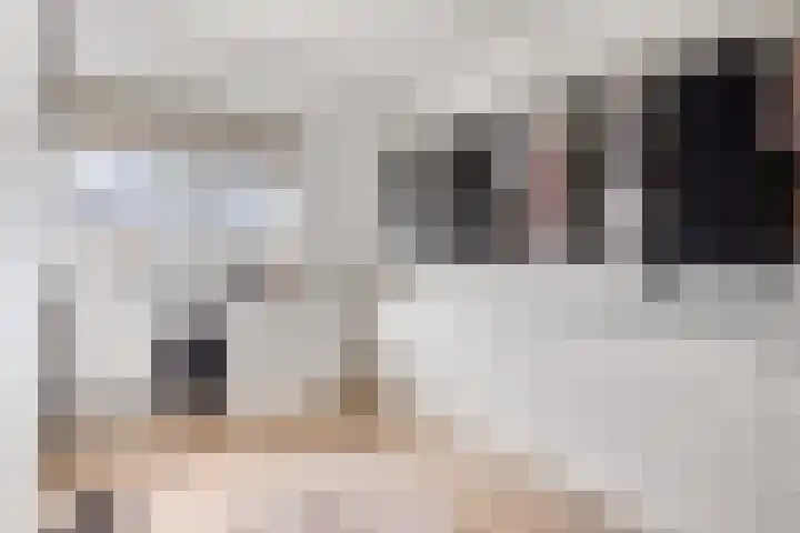 Mars 78 Oostburg thumbnail 18
