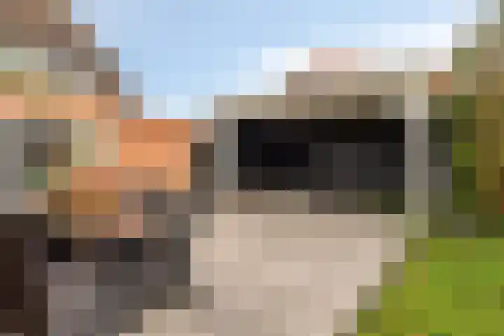 Mars 78 Oostburg thumbnail 30