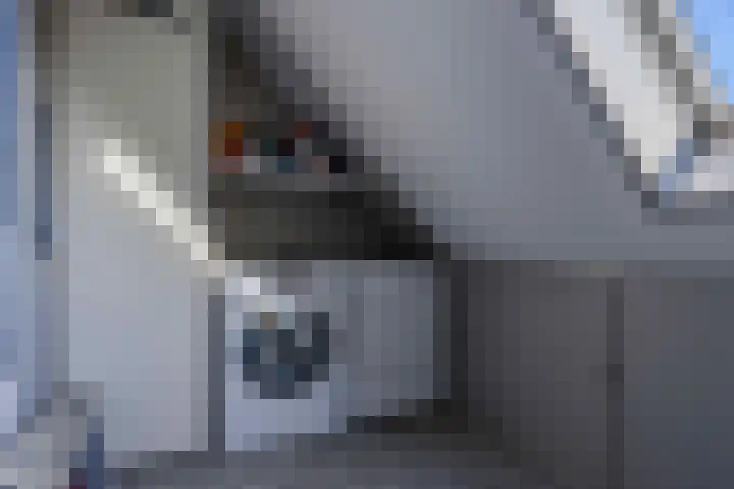 Mars 8 Katwijk thumbnail 45