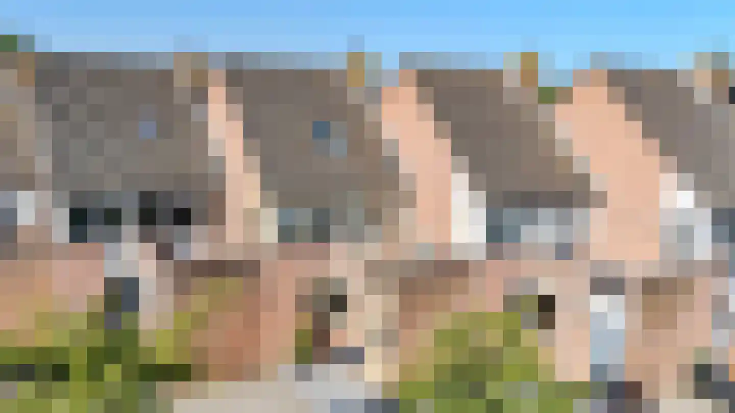 Mars 8 Katwijk thumbnail 7