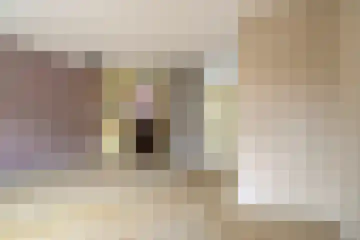 Mars 9 Duiven thumbnail 10