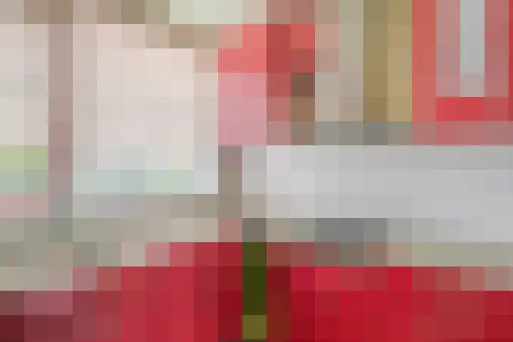 Mars 9 Duiven thumbnail 12
