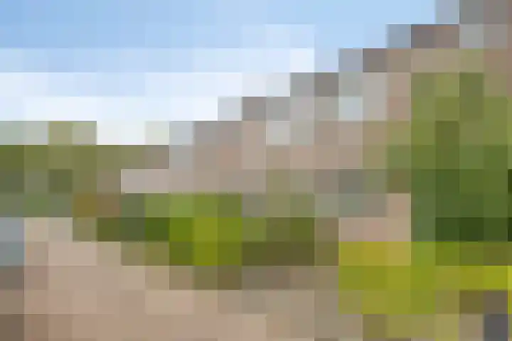 Mars 9 Duiven foto 2