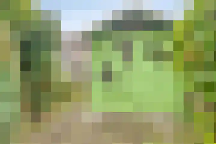 Mars 9 Duiven thumbnail 31