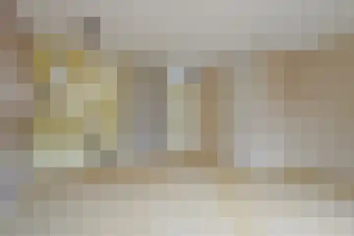Mars 9 Duiven thumbnail 9
