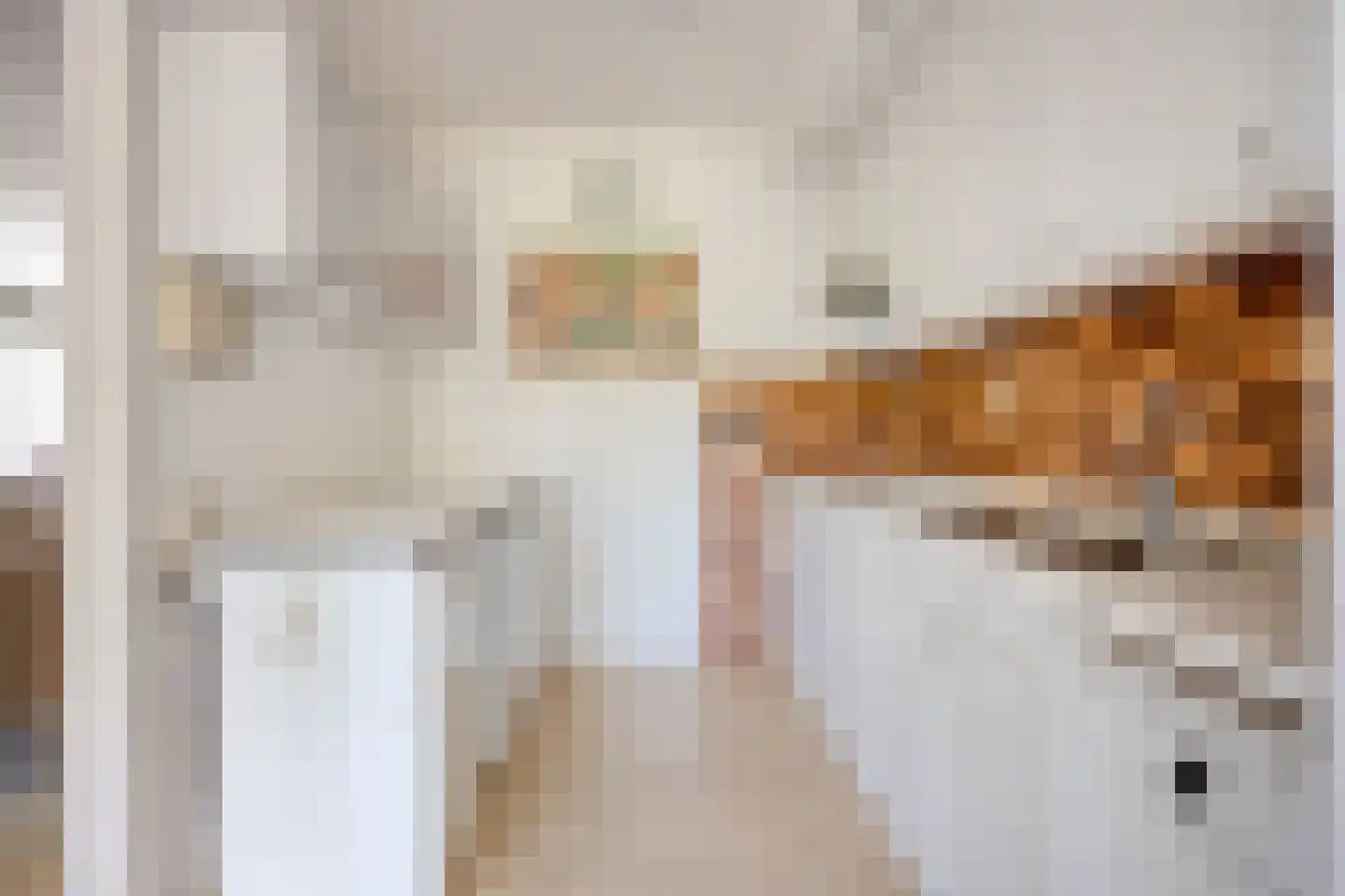 Marsanahof 68 Maastricht thumbnail 16