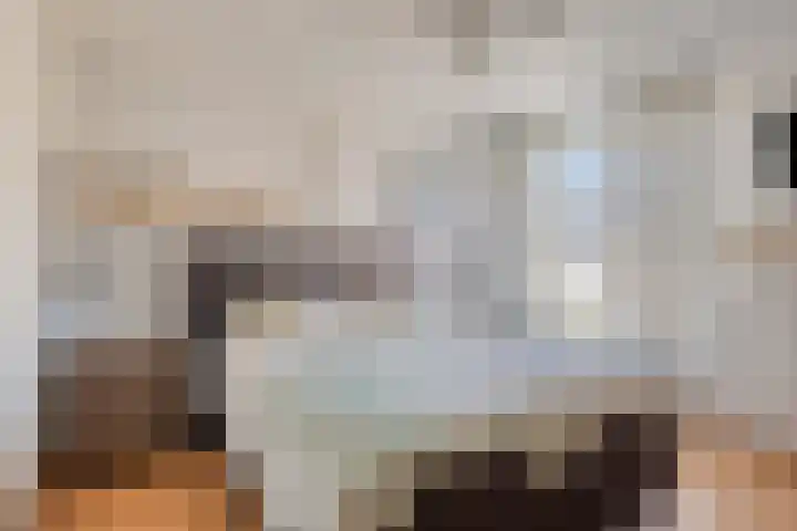 Marsanahof 71 Maastricht thumbnail 17
