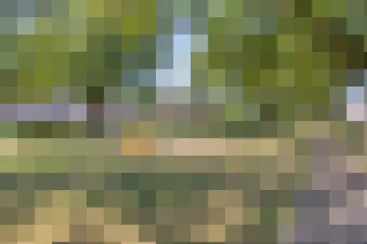Marsanahof 71 Maastricht thumbnail 35
