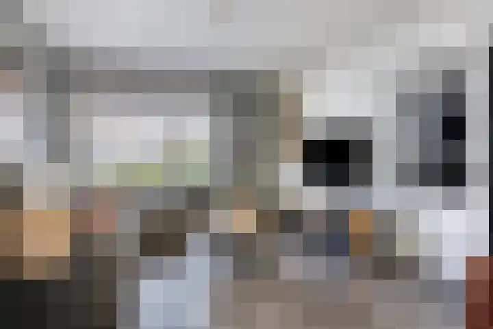 Marsanahof 71 Maastricht thumbnail 6