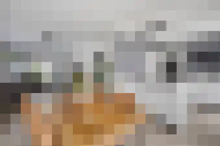 Marsanahof 79 Maastricht thumbnail 11