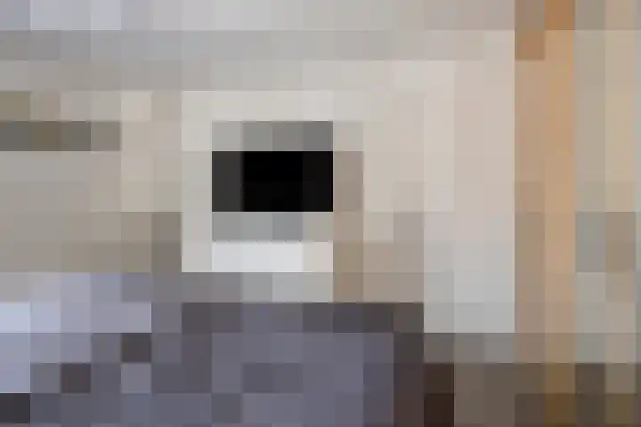 Marsanahof 79 Maastricht thumbnail 18
