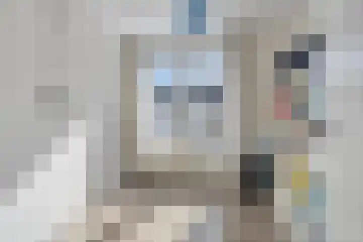 Marsanahof 79 Maastricht thumbnail 22
